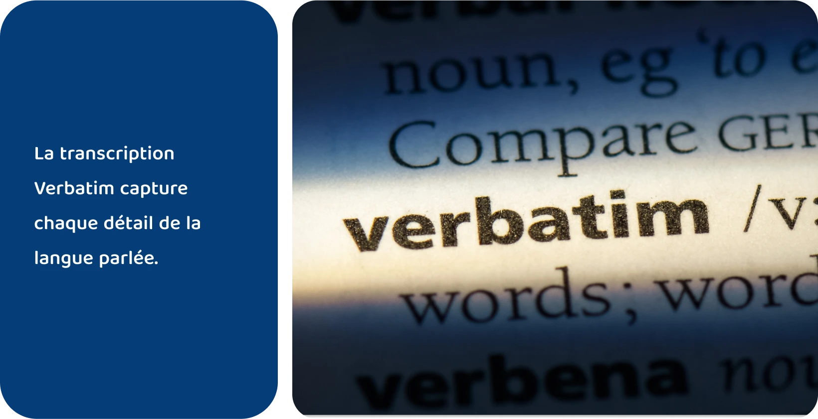 L’entrée du mot « verbatim » dans le dictionnaire est mise en évidence, représentant des méthodes de transcription précises.