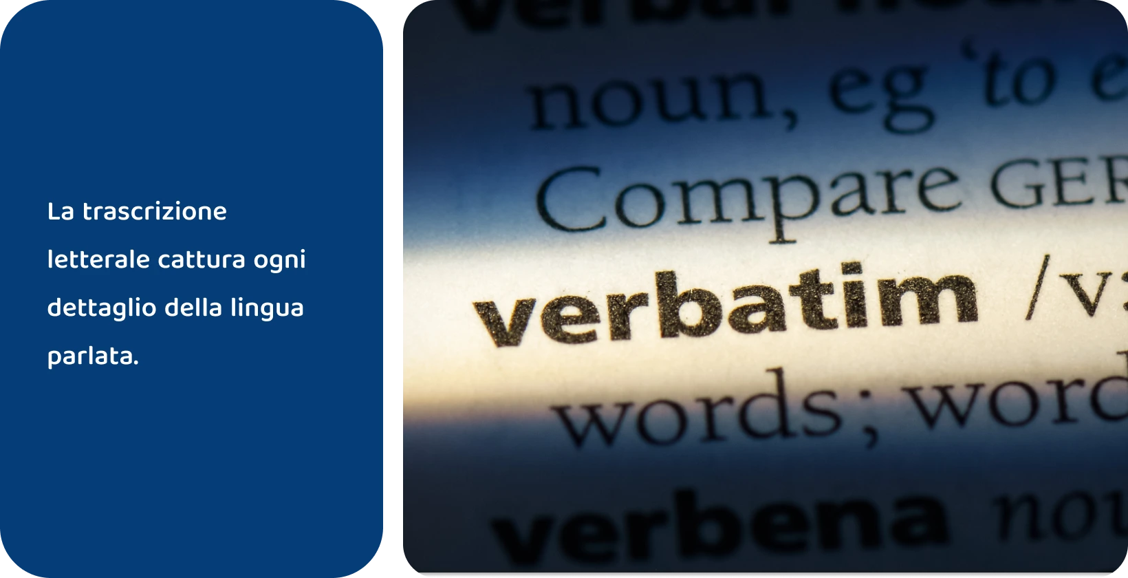 Voce del dizionario della parola 'verbatim' evidenziata, che rappresenta metodi di trascrizione precisi.