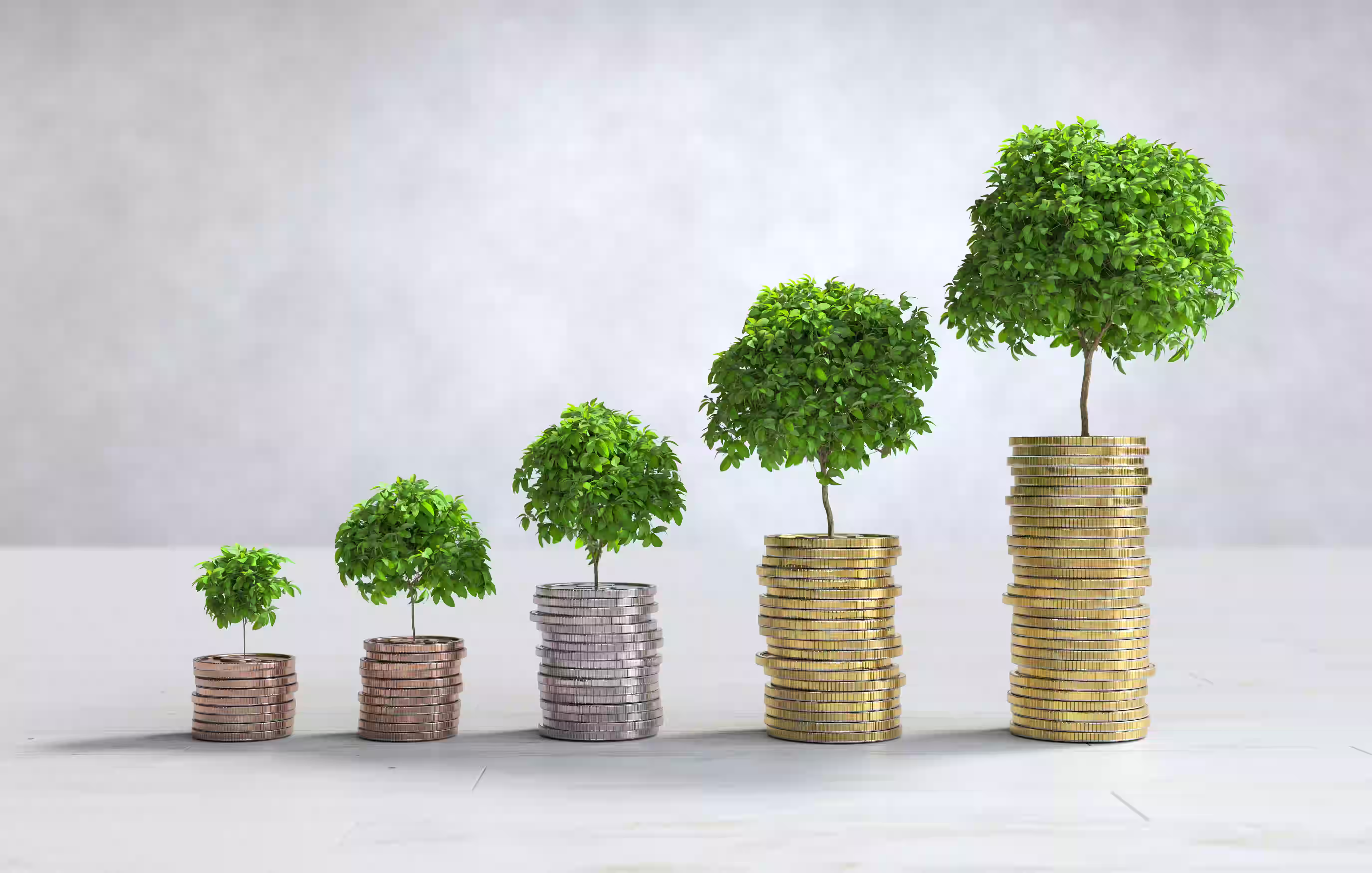 Small trees growing on increasing stacks of coins showing financial investment growth