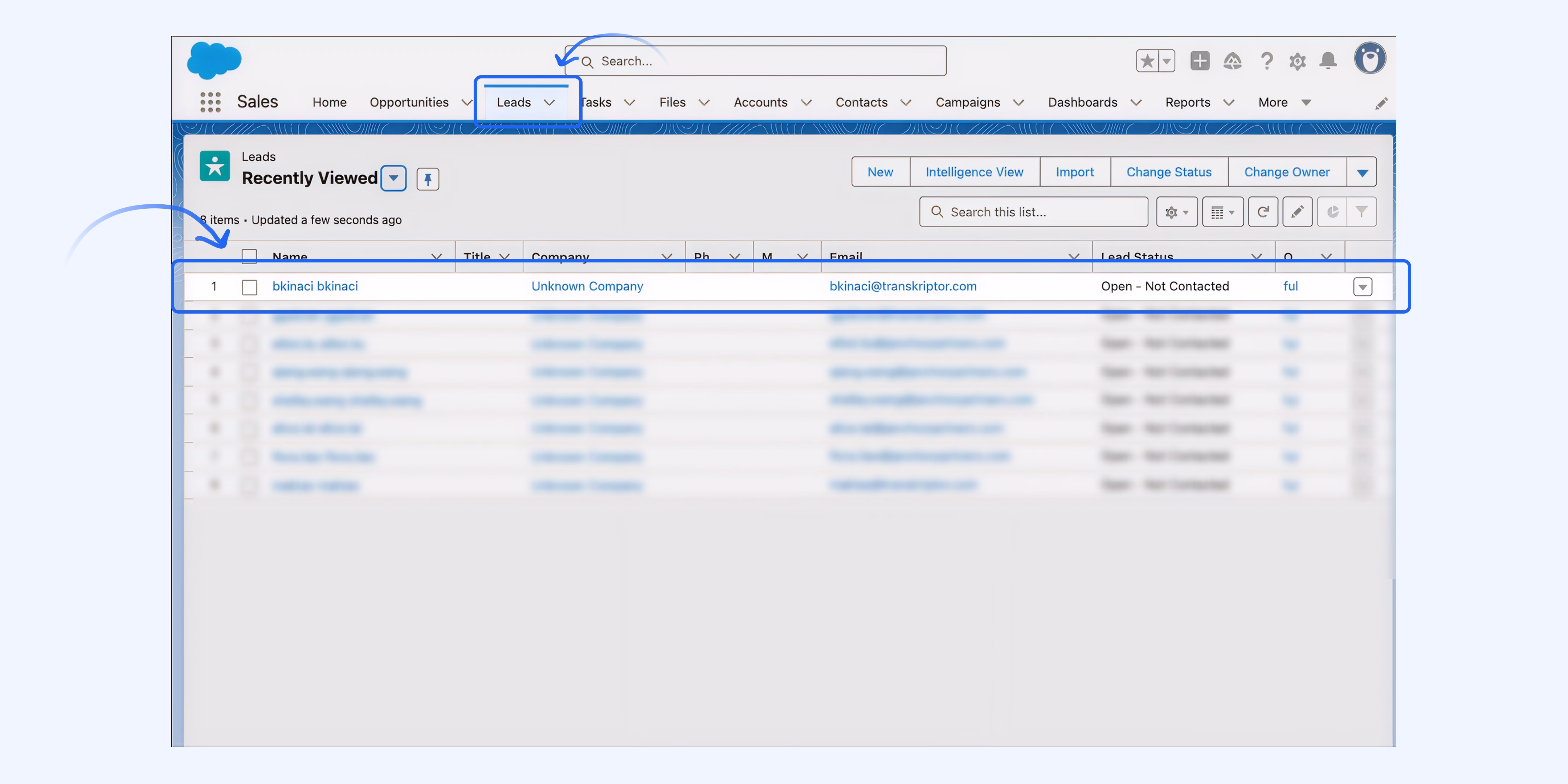Interfaccia Salesforce che mostra informazioni sui lead con l'integrazione Salesforce.